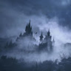 Meet your Posher, Bo